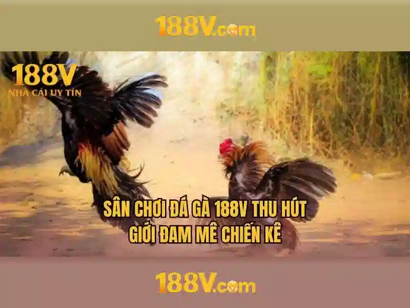 Khám phá 188v