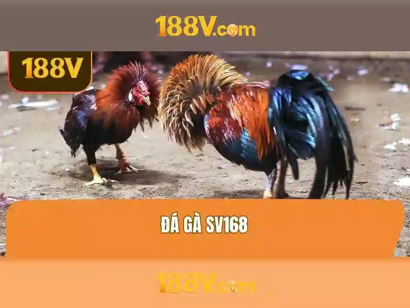 Các ứng dụng tiềm năng