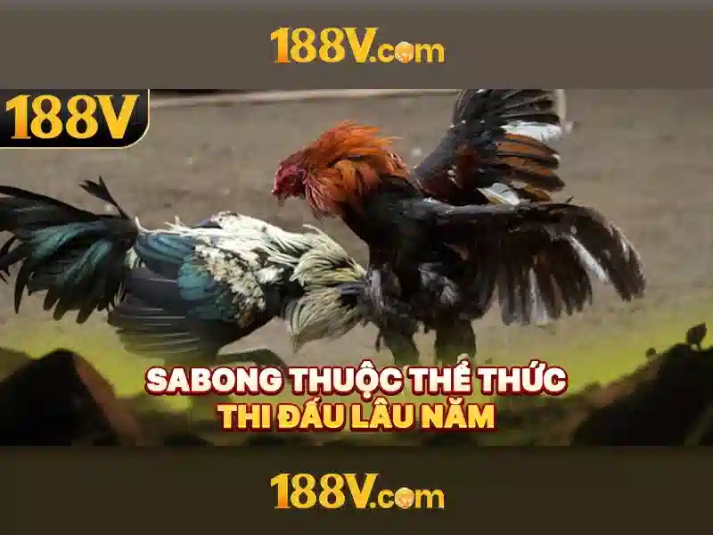 Ứng dụng và trải nghiệm 188v
