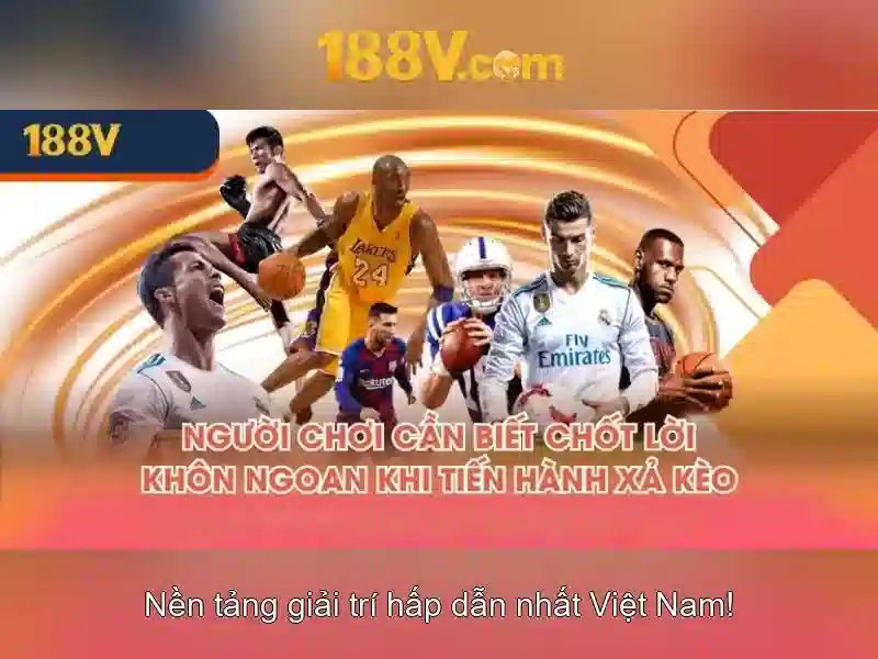 Tác động xã hội và văn hóa