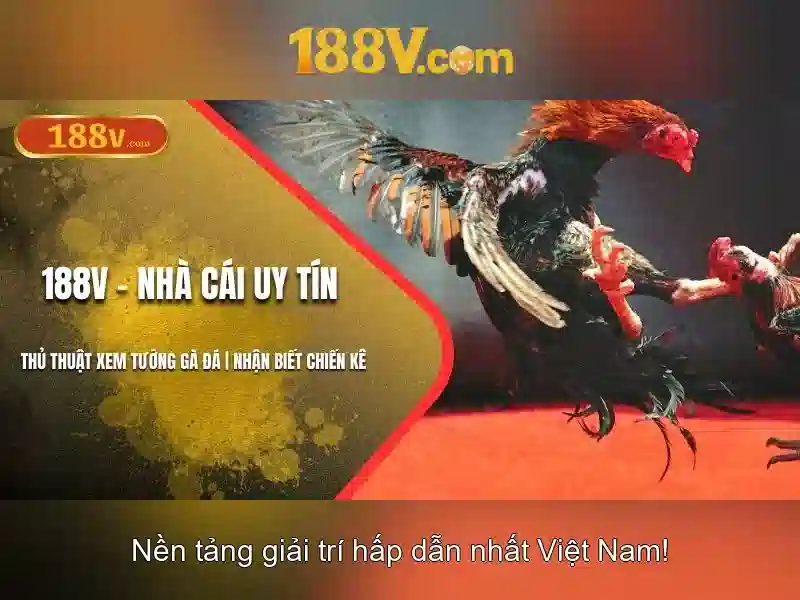 Cấu trúc tổng quan của 188v
