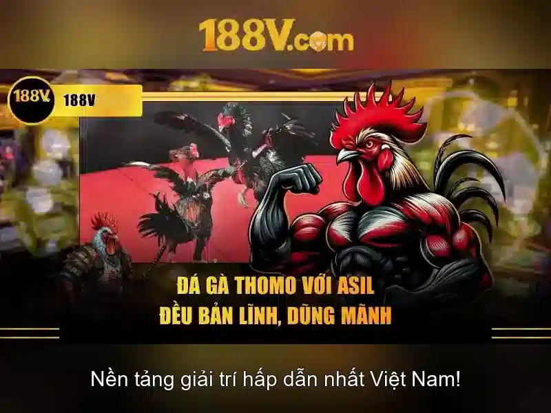 Chơi có trách nhiệm
