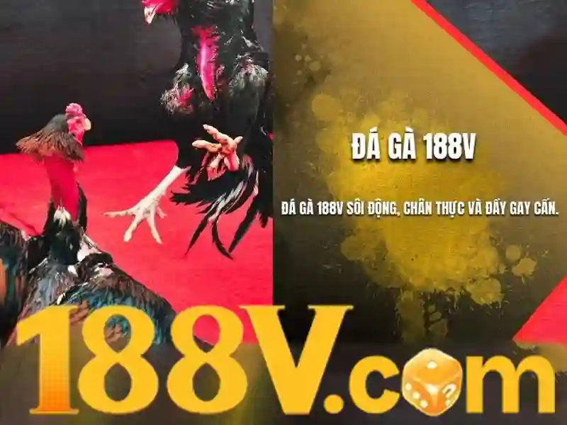 Ý nghĩa và nguồn gốc