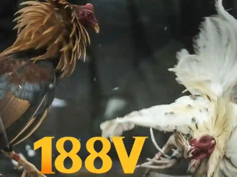 188v: Con phố của thời gian và ký ức